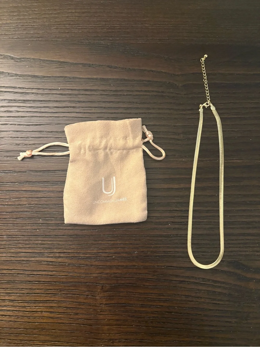 NEW Uncommon James Gold Unisex Horizon Necklace